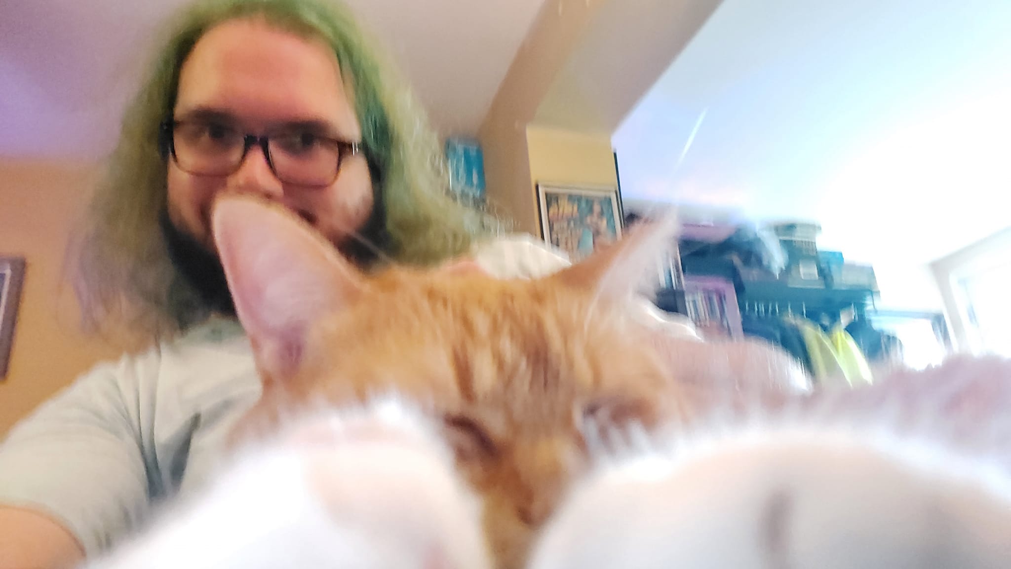 A man with green hair sits in a computer chair inside, with an orange cat in his lap, Photo 1